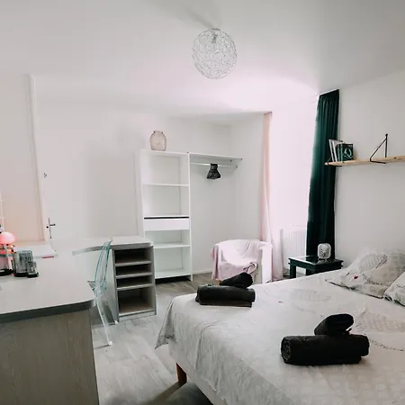 Apartamento Zen Et Confort Au Cœur Du Sud Vendée, Proche Parc Natural Du Marais Poitevin - Fr-1-426-571