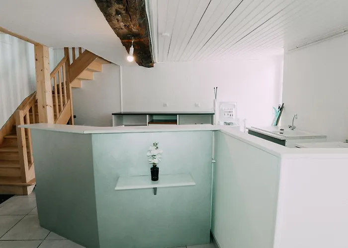 Zen Et Confort Au Coeur Du Sud Vendee, Proche Parc Natural Du Marais Poitevin - Fr-1-426-571 Lejlighed