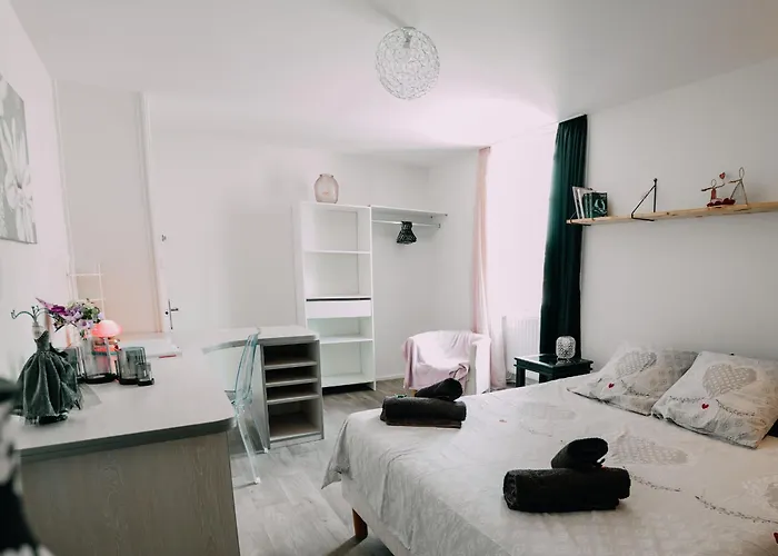 Lejlighed Zen Et Confort Au Coeur Du Sud Vendee, Proche Parc Natural Du Marais Poitevin - Fr-1-426-571